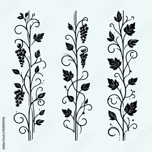 Set of silhouettes vine branches leaves. Grapes vineyard, grapevine black and white illustration. Wine labels design, branding Borders hand drawn decorative vines and berries. Elegant botanical motifs