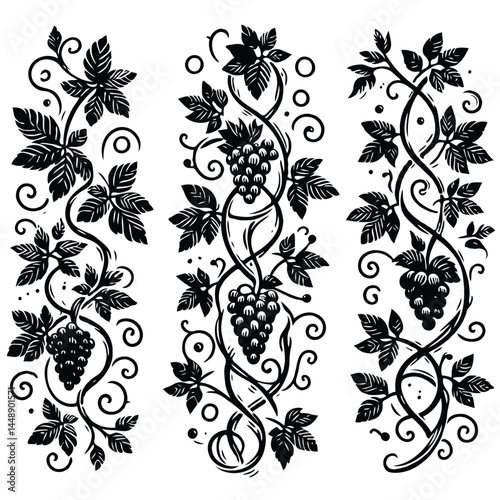 Set of silhouettes vine branches leaves. Grapes vineyard, grapevine black and white illustration. Wine labels design, branding Borders hand drawn decorative vines and berries. Elegant botanical motifs