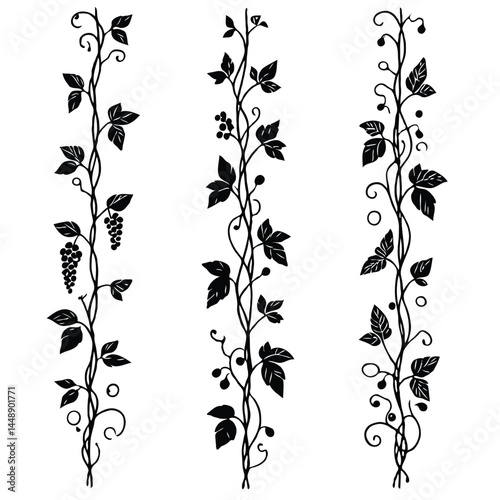 Set of silhouettes vine branches leaves. Grapes vineyard, grapevine black and white illustration. Wine labels design, branding Borders hand drawn decorative vines and berries. Elegant botanical motifs