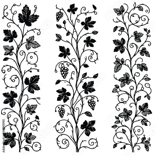 Set of silhouettes vine branches leaves. Grapes vineyard, grapevine black and white illustration. Wine labels design, branding Borders hand drawn decorative vines and berries. Elegant botanical motifs
