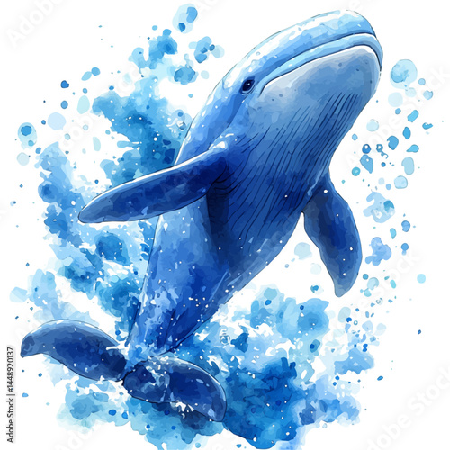 Beluga Whale In Icy, watercolor vector, isolated on a white background.