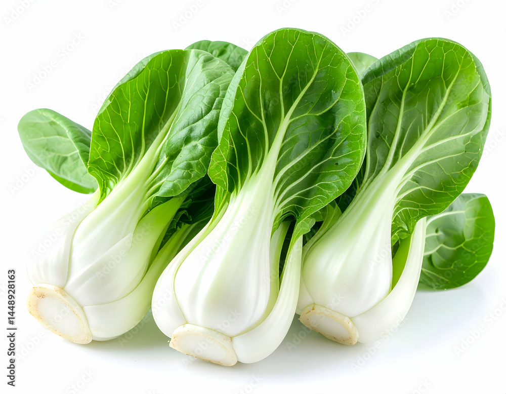 Fresh Bok Choy Bunch On White Background Fresh Bok Choy Bunch On White Background