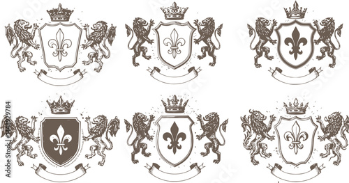 Heraldic Lion. Medieval coat of arms. Lys De Fleur. Crest depicting a lion's flank supporters shield. Knights helmet design. Vintage retro style. Engraving Royalty Emblem. Heraldy King Icon