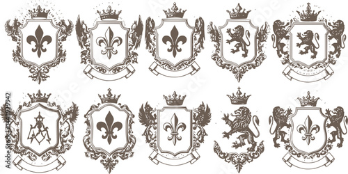 Heraldic Lion. Medieval coat of arms. Lys De Fleur. Crest depicting a lion's flank supporters shield. Knights helmet design. Vintage retro style. Engraving Royalty Emblem. Heraldy King Icon