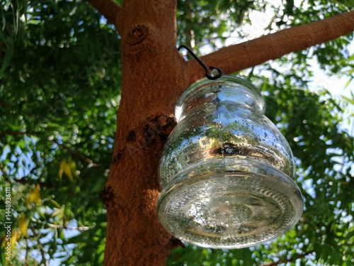 Colgando del arbol