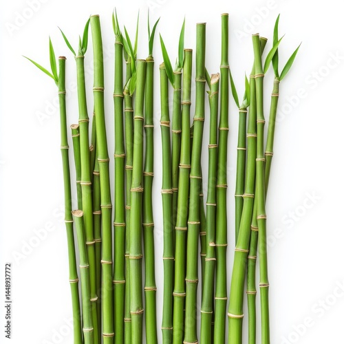 Vibrant Green Bamboo Stalks - Nature's Elegance on white background