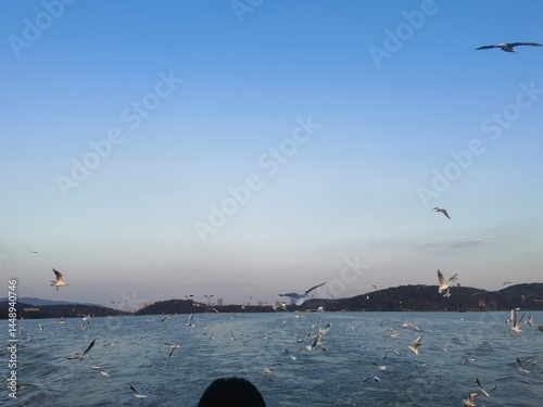 Flock of seagulls flying over blue water with mountains at dusk
