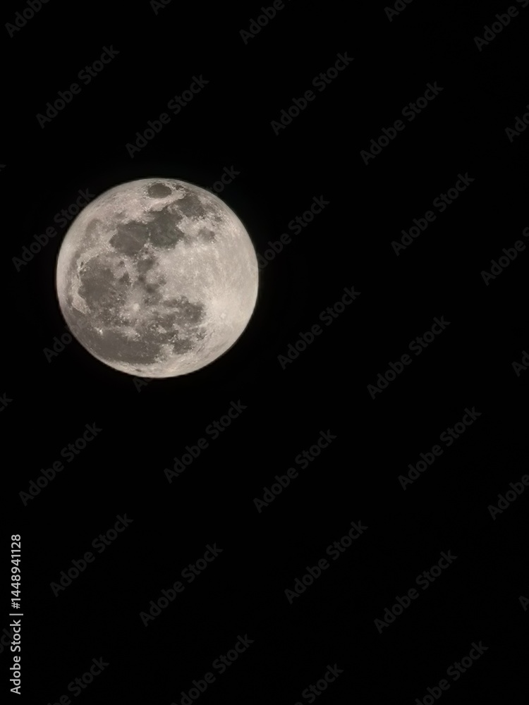 Obraz premium full moon in the night