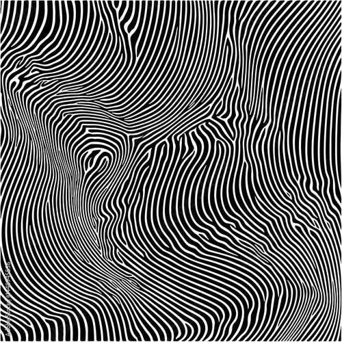 Dynamic black and white vector art featuring wavy, hypnotic lines. The abstract pattern creates an optical illusion effect, perfect for modern, stylish backgrounds or design.