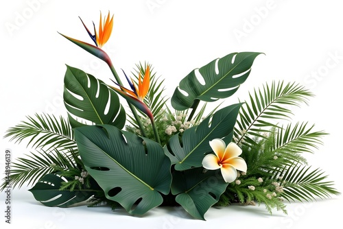 Tropical leaves foliage plant jungle bush floral arrangement nature backdrop isolated on white background