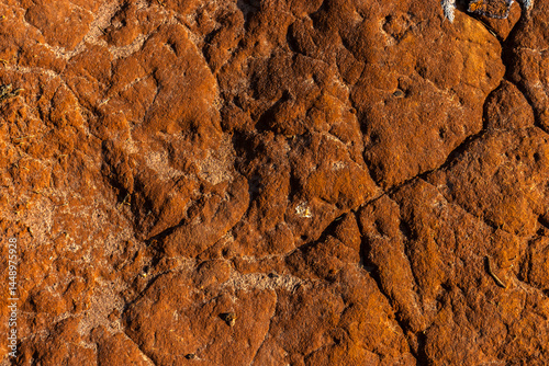 Dry cracked earth texture in Brazil