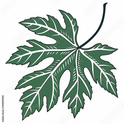 Fig Leaf Vector Illustration On White Background Decorative Tropical Design