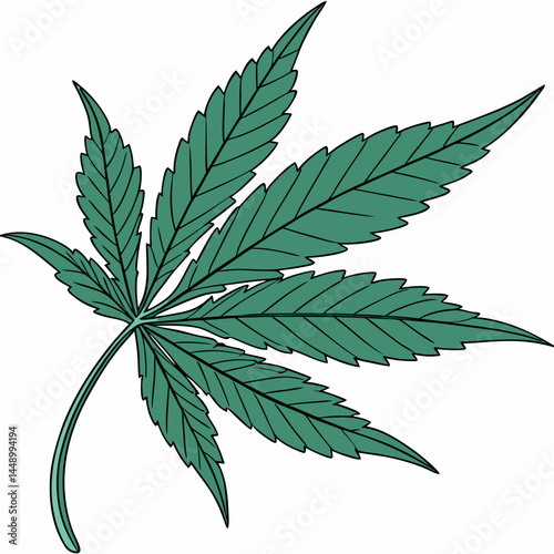 Isolated Illustration Of A Detailed Green Cannabis Leaf On White Background