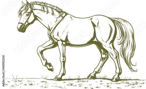 vector illustration of a horse in hand drawn style.