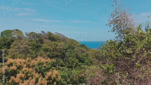 Vue aérienne sur la côte nord atlantique de la Martinique  (Le Macouba).