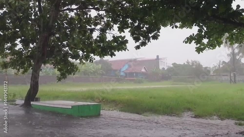 Heavy rain at the park with big tree