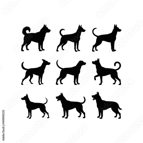 Silhouette group of American dog breeds - puppies, adult dogs - standing, running, hunting, play poses. Black pet animal minimalist icons isolated white background. Stylized, colorful dog silhouettes 