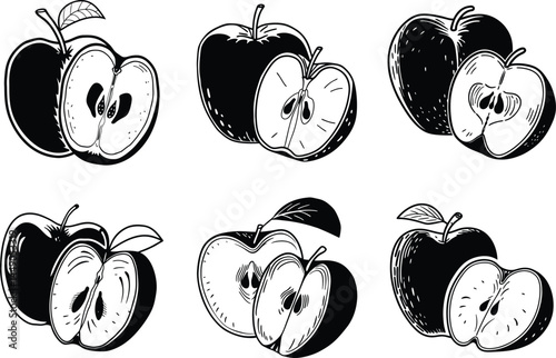 Apple fruit illustration set with halves and leaves hand drawn style