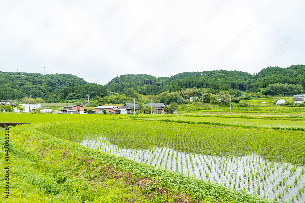 Obraz premium 長湯温泉周辺の田園風景