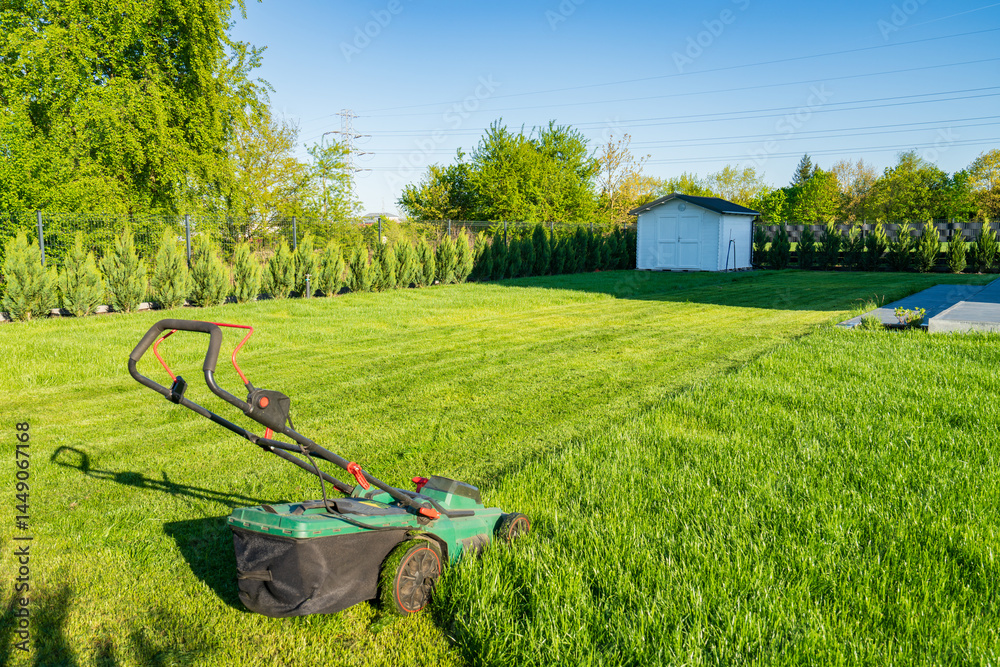 Partially cut grass on the house back garden with wooden shed in the background