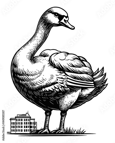 Detailed Vintage Engraving of a Graceful Swan with Urban Background