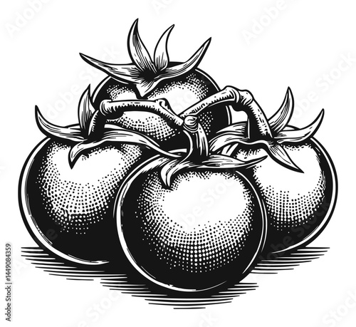 Detailed Engraving of Fresh Tomatoes with Botanical Elements
