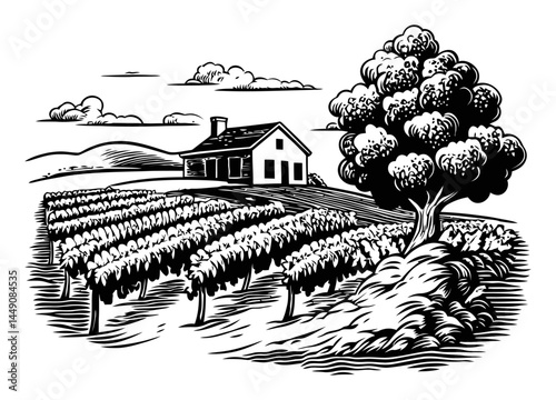 Rustic Vineyard Landscape Engraving with House and Trees