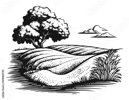 Detailed Engraving of Countryside with Tree and Rolling Hills
