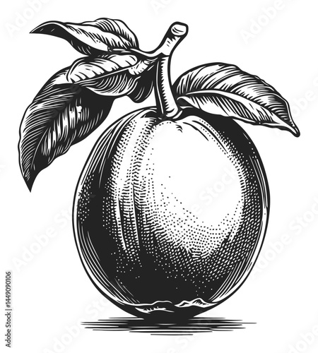 Detailed Engraving of a Fruit with Leaves in Black and White Style
