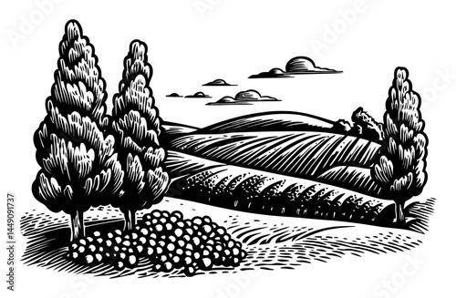 Black and White Engraving of Rolling Hills with Trees and Clouds