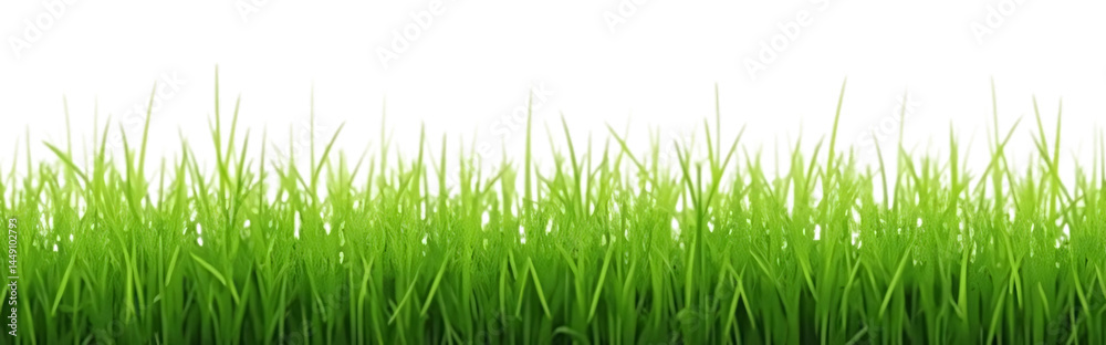 A vibrant, fresh spring green grass lawn edge border, adorned with daisy flowers isolated against a transparent background. Generative ai A vibrant, fresh spring green grass lawn edge border, adorned with daisy flowers isolated against a transparent background. Generative ai
