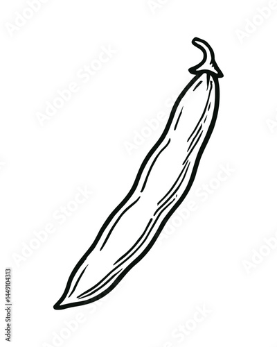Green Bean Pod Isolated on White Background