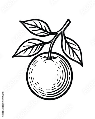 Orange Fruit with Leaves Fresh Citrus Food Still Life