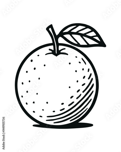 Orange Fruit Citrus Healthy Food Black and White