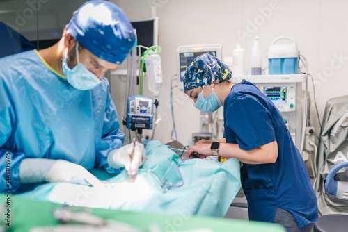 Veterinarians performing surgery on animal in operating room photo