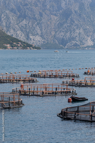 Mesh cages of a sea farm in the Kotor Bay photo