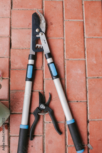 Tree pruning tools.