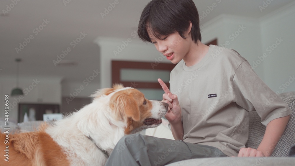 Preteen Asian boy playing with wheaten border collie puppy at home, family pet, positive mental health and wellness, pet therapy concept