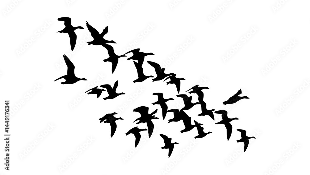 Silhouette flying birds formation vector image for migration season and nature illustration design element Silhouette flying birds formation vector image for migration season and nature illustration design element