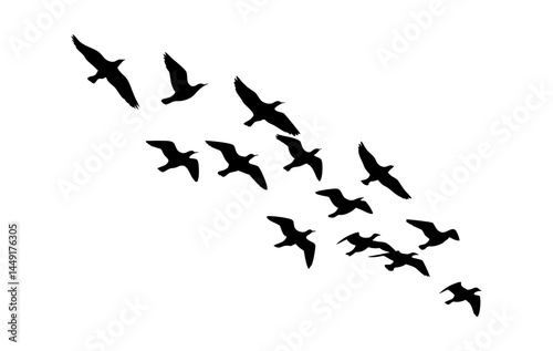 Birds flying in formation silhouette vector image for nature and wildlife designs and migratory bird patterns