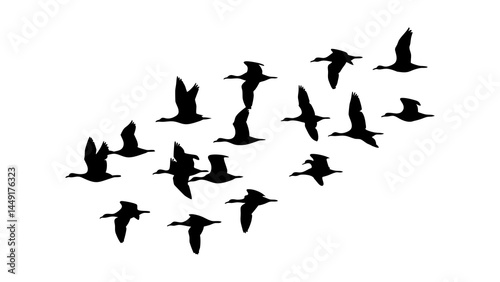Silhouette of flock of birds flying in formation vector illustration wildlife migration animal group background 100