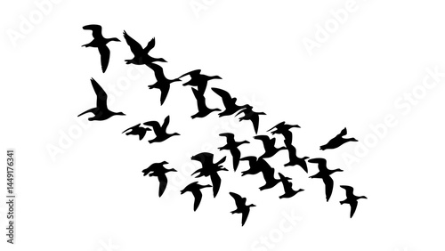Silhouette flying birds formation vector image for migration season and nature illustration design element