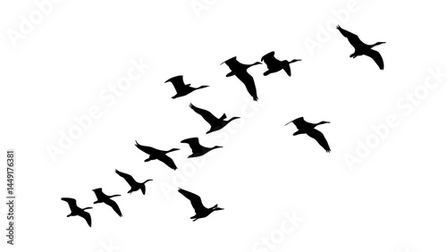 Flying geese silhouette vector image for migration season nature and wildlife designs and graphics artwork