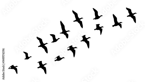 Flock of birds flying in formation silhouette vector illustration migration concept and birdwatching art