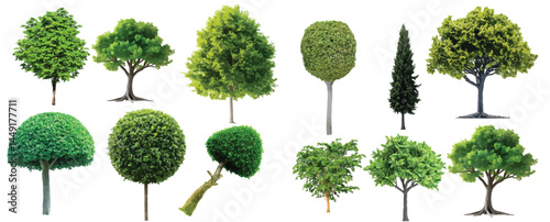 Vector watercolor green tree or forest side view isolated on white background for landscape and architecture drawing,elements for environment or and garden,Shrub for section