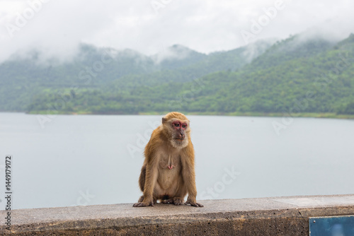 Photography Vajiralongkorn Dam, formerly known as Khao Laem Dam, is the first rockfill dam in Thailand