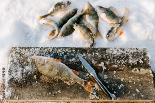 Fish On Board