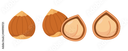 Freshly shelled and unshelled hazelnuts on a white background