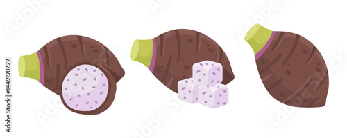 Illustrations of Taro Root and Its Variants