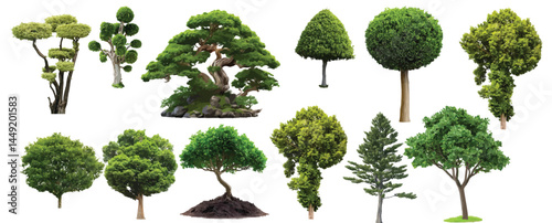 Vector watercolor green tree or forest side view isolated on white background for landscape and architecture drawing,elements for environment or and garden,Shrub for section